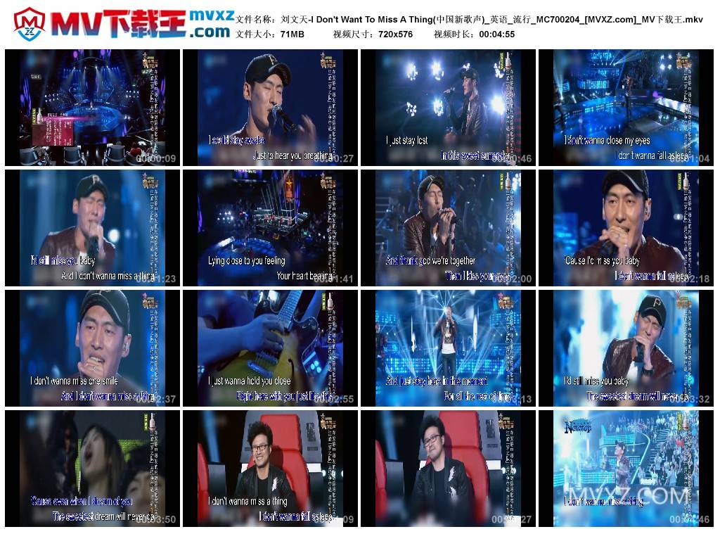 刘文天-I Don't Want To Miss A Thing(中国新歌声)_英语_流行_MC700204